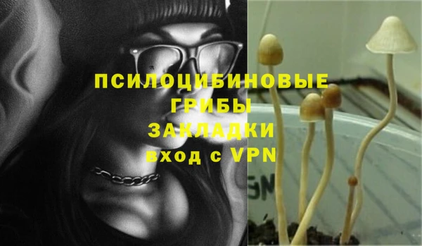 шишки Алексеевка
