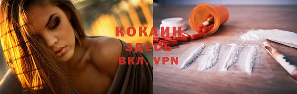 шишки Алексеевка