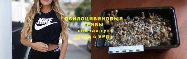 метадон Алексин