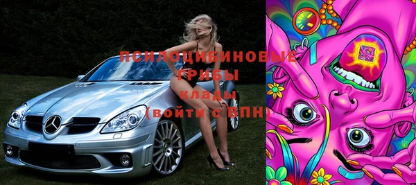 метадон Алексин