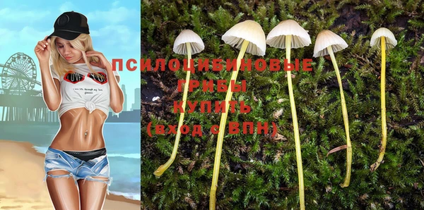 экстази Алзамай